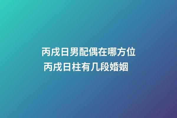 丙戌日男配偶在哪方位 丙戌日柱有几段婚姻-第1张-观点-玄机派